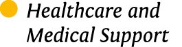   Healthcare and Medical Support